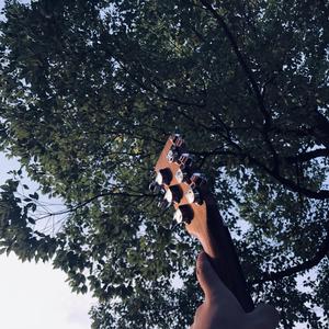 曰韩肉体裸交XXXXBB
